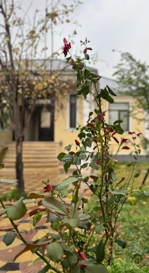 EMIREST Villa