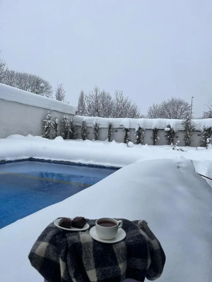Dreamsville Chalet Gabala