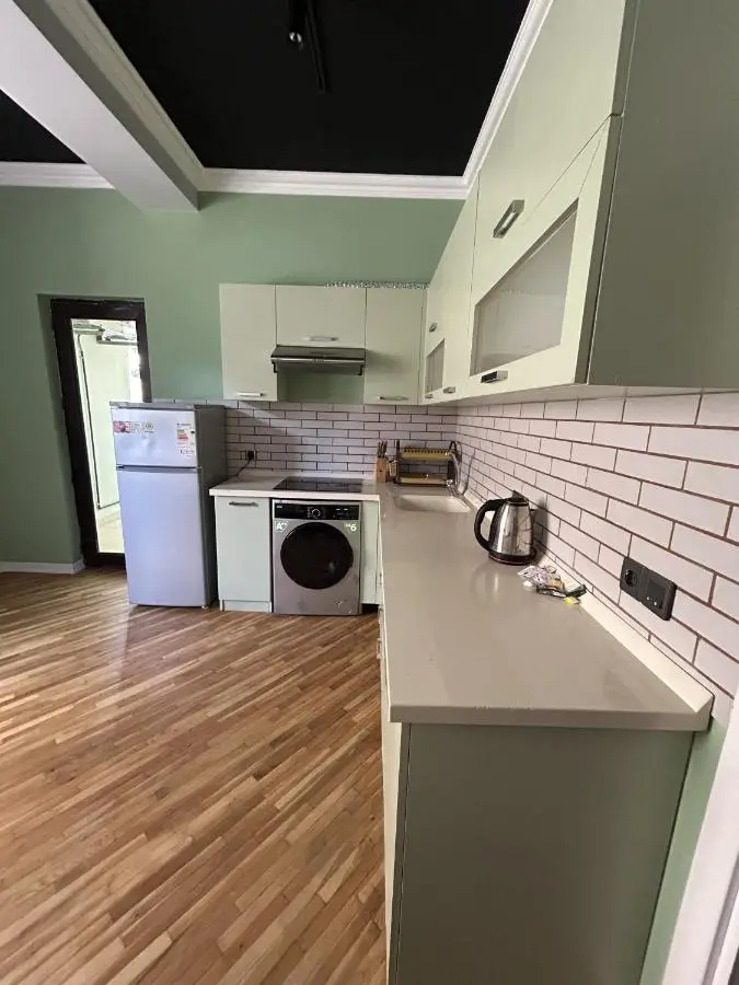 lux-deluxe city apartment