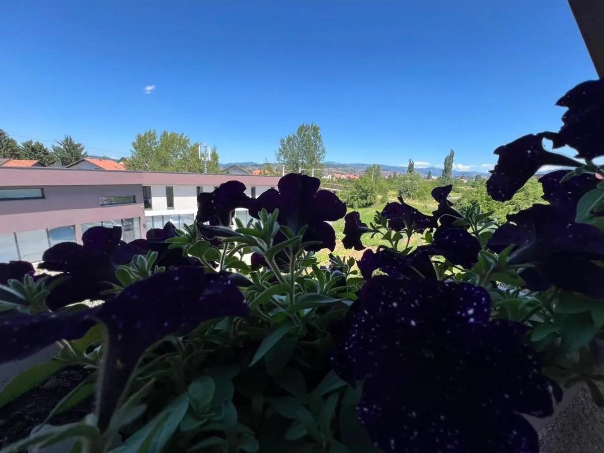 Ilidza Apartmant