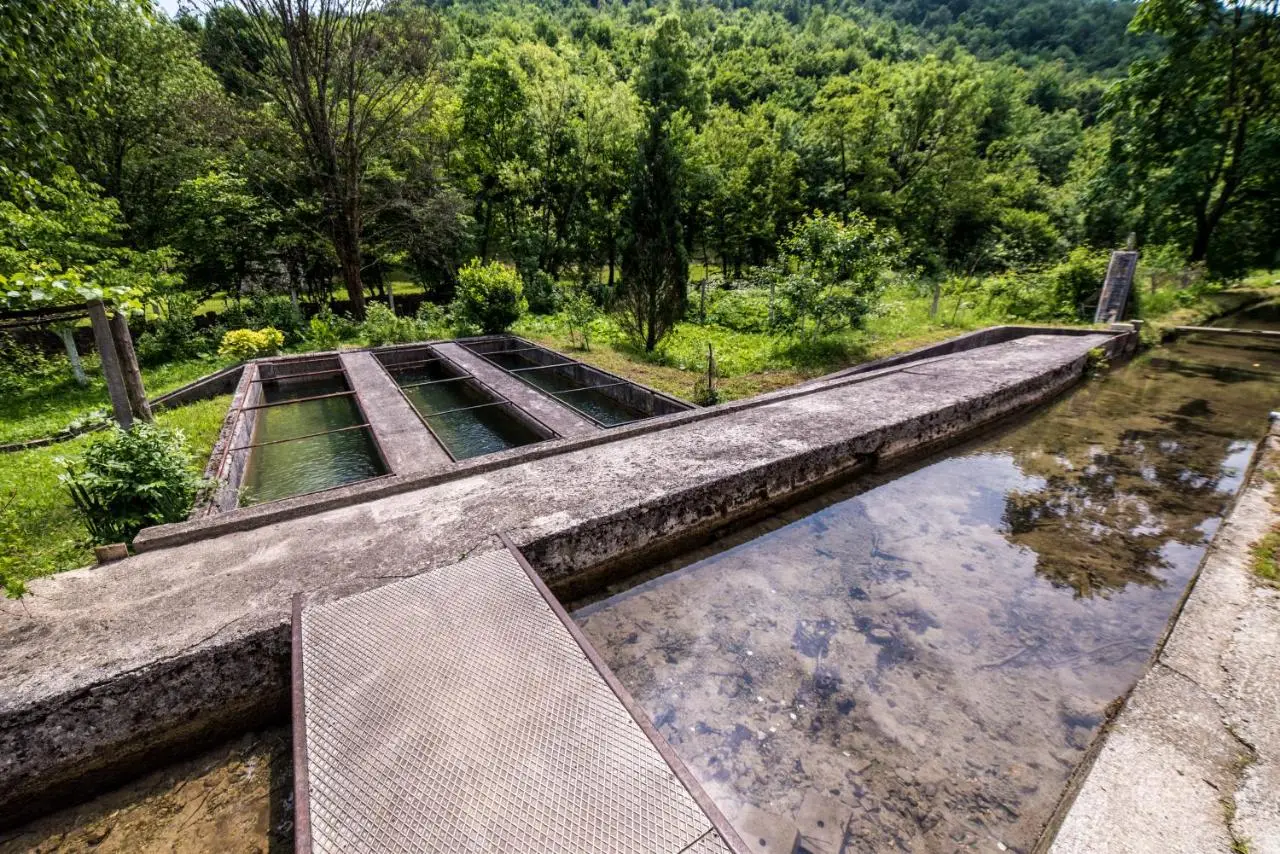 Eko House Dobrenica