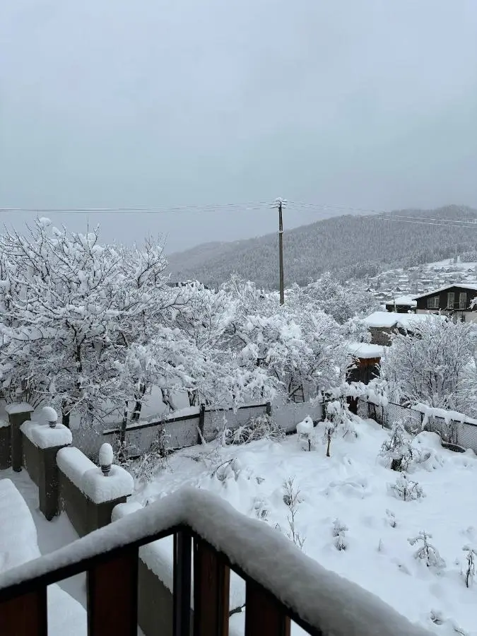 Bakuriani Cottages