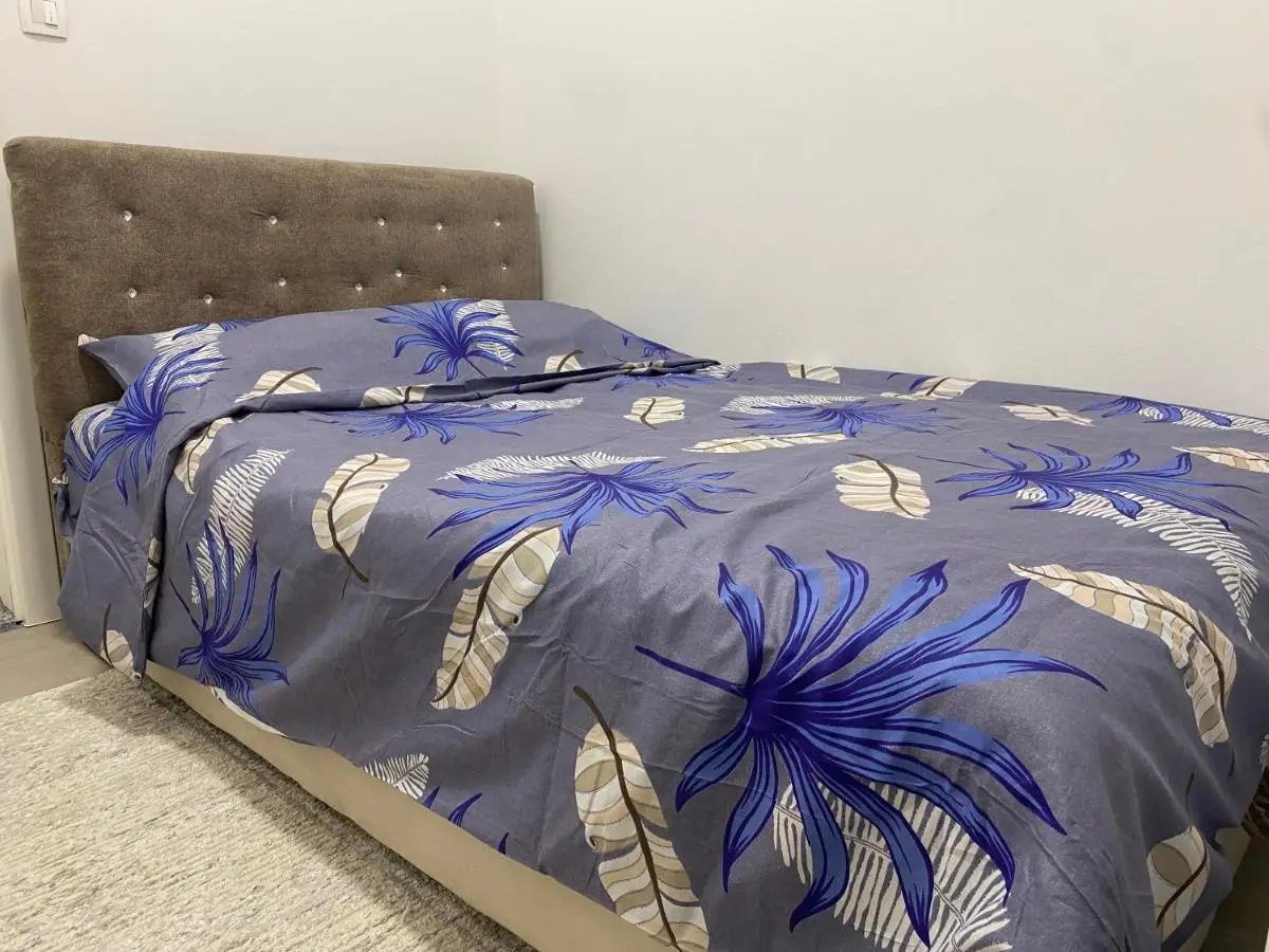 Apartman 555
