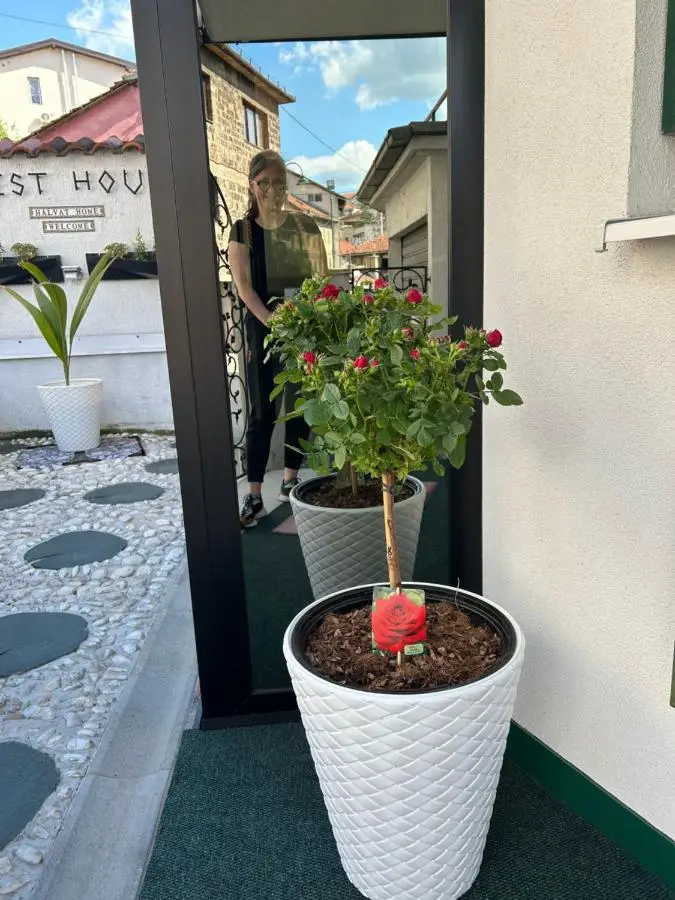 Halvat Guesthouse