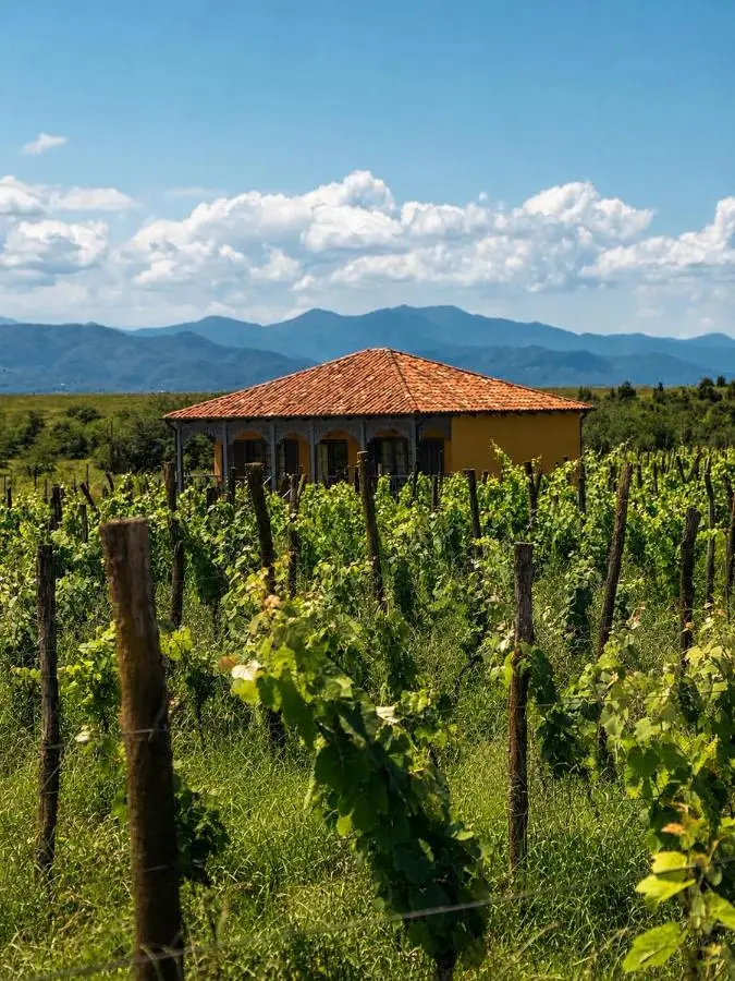 Chateau Vartsikhe