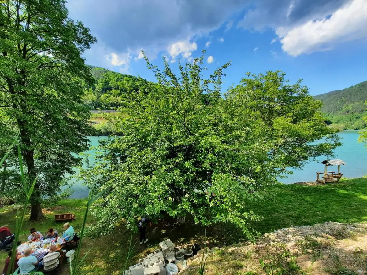 Apartmani Vila na Drini