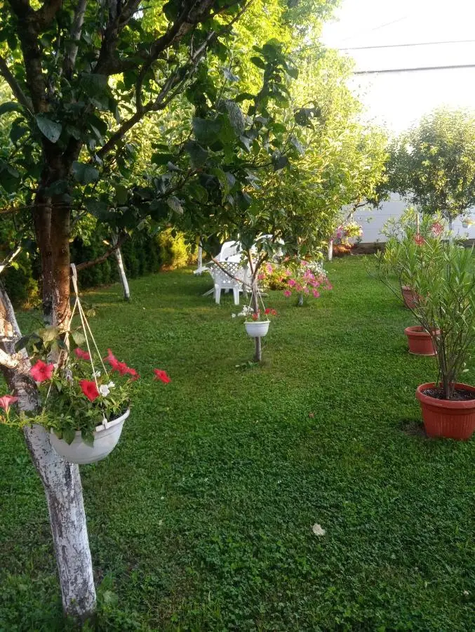 Apartmani Jasmina 2