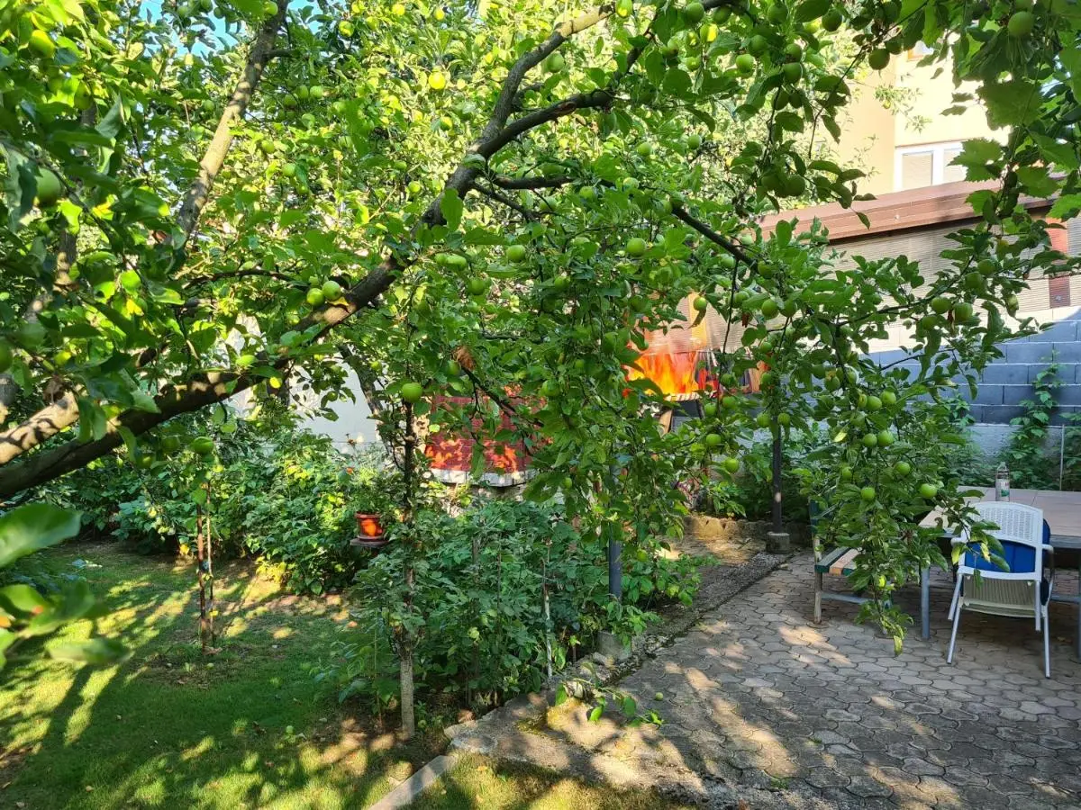 Apartman Nedim - Free Parking & Garden near Airport