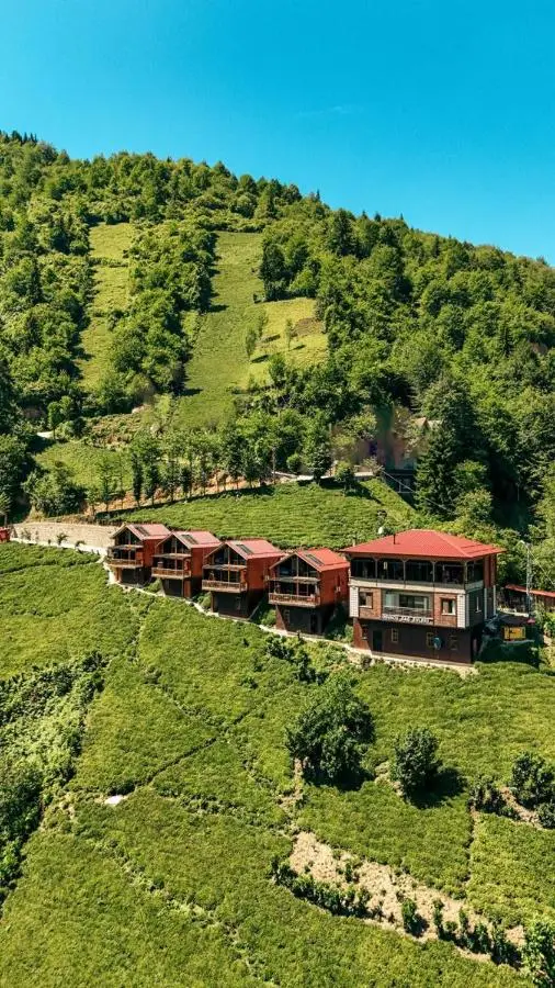 Oşvacu Dağ Evleri