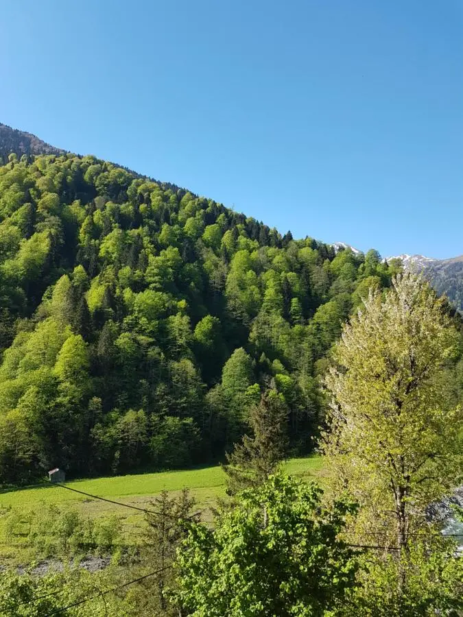 Ladin Dağ evi