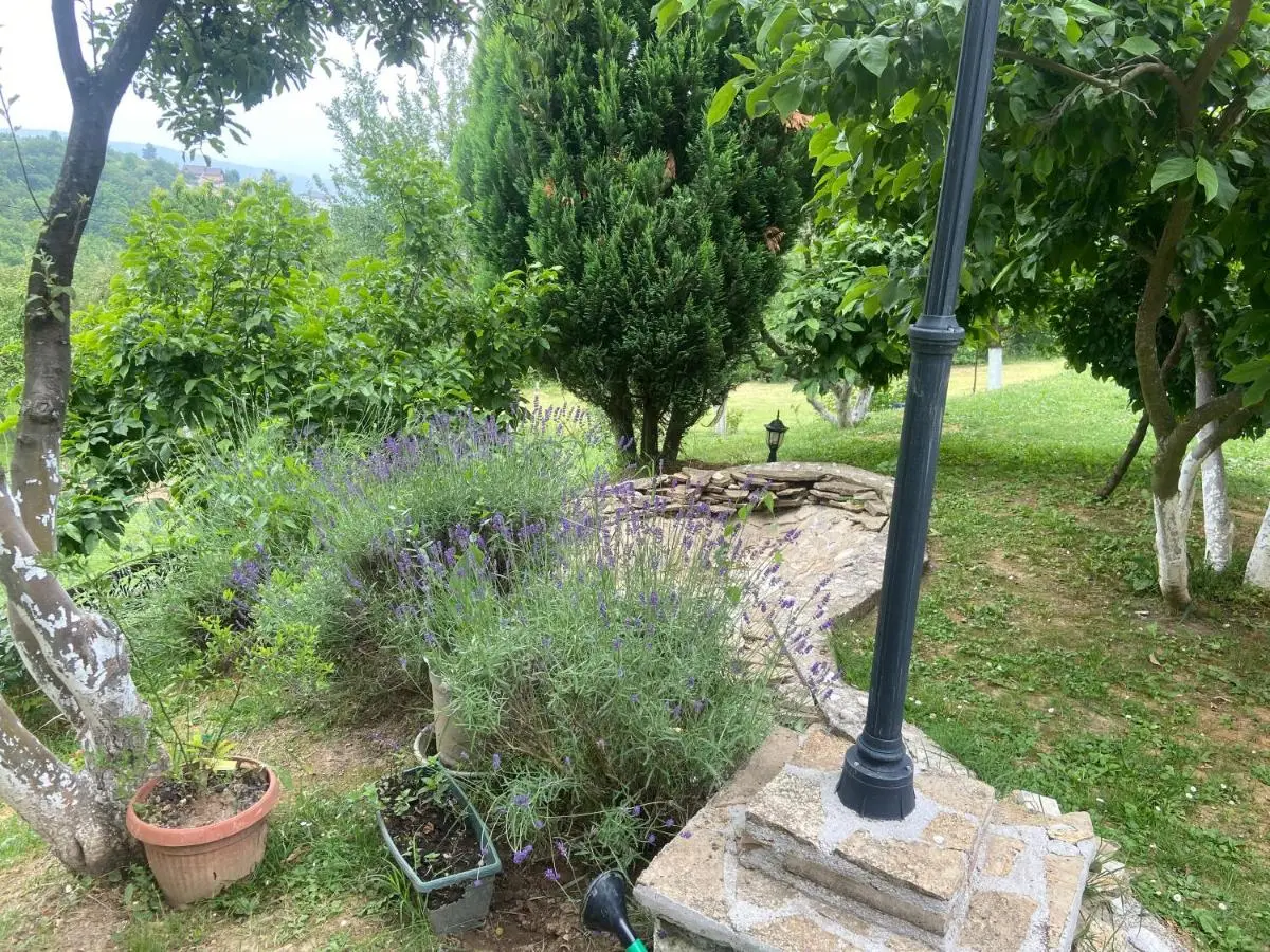 Zeleni kutak