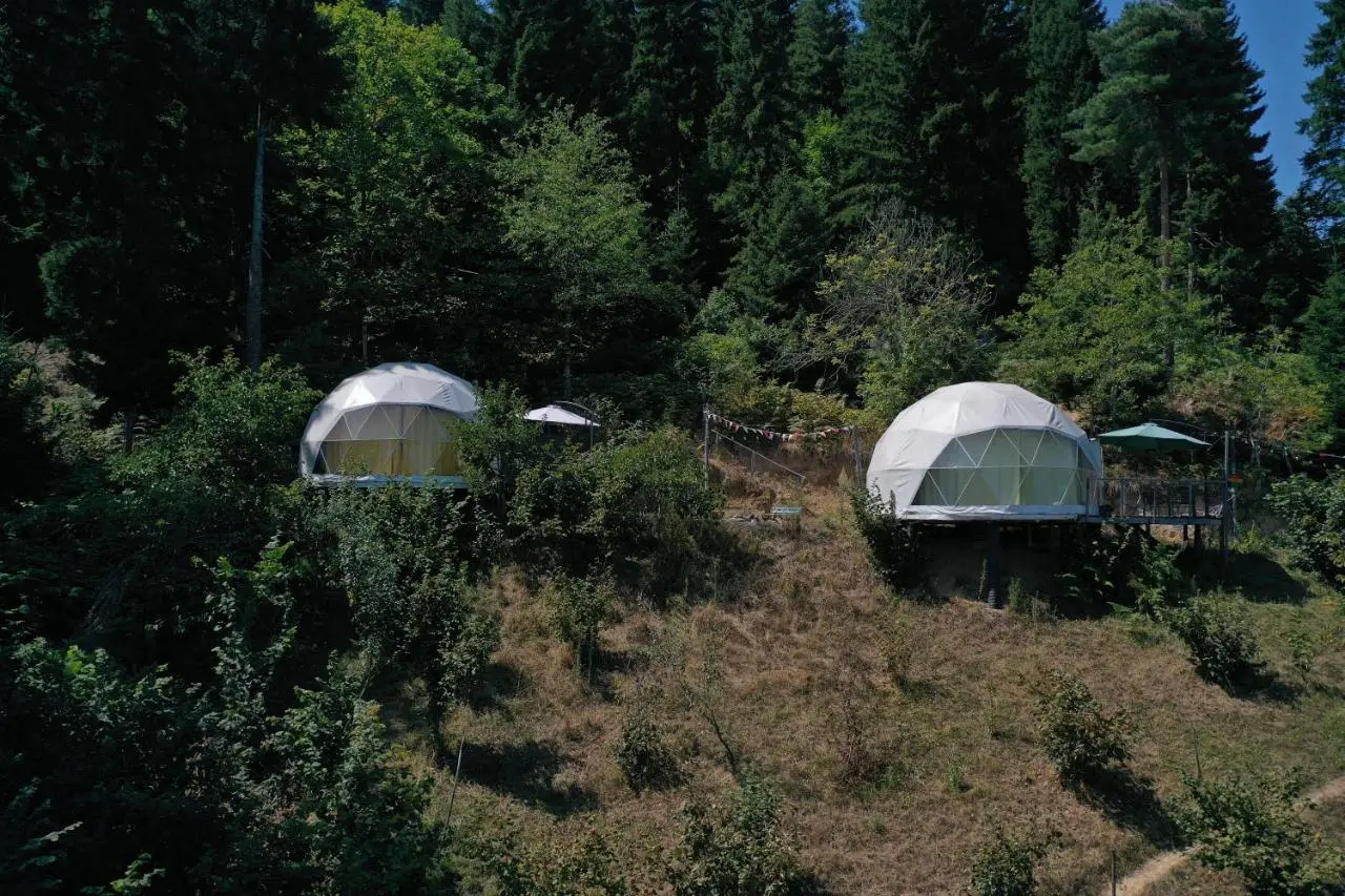 Ajara Glamping Kokotauri