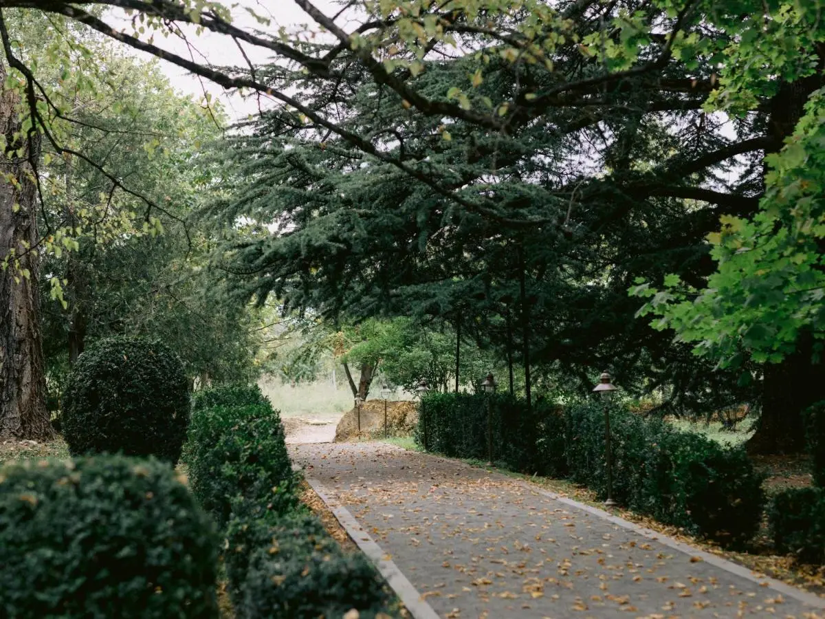 Vazisubani Estate