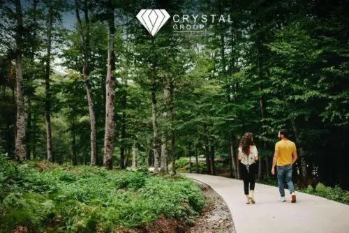 Crystal Wood Bakuriani Apartment 401