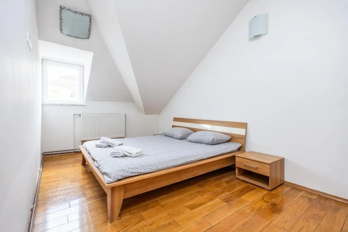 Spacious Apartment in Downtown