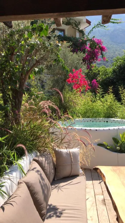 Flamingo Hotel & Spa - Pet Friendly