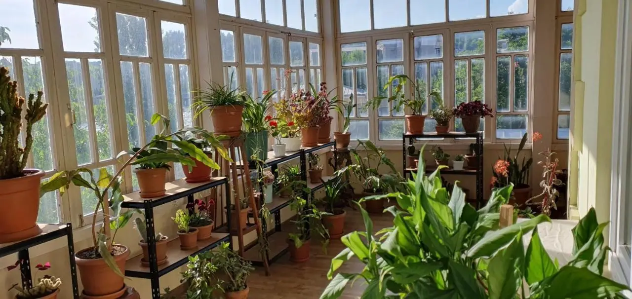 Bookinist Apartment