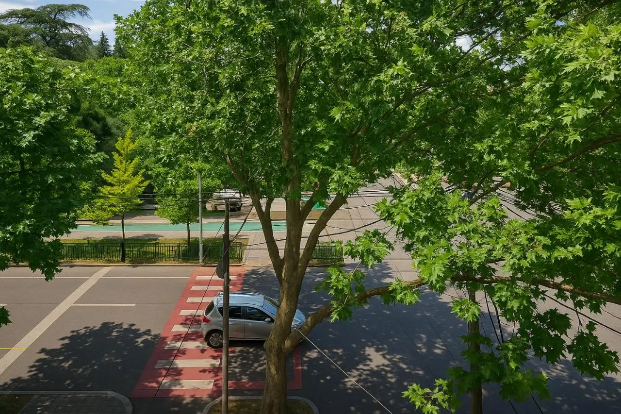 GOAL ApartmentS 2
