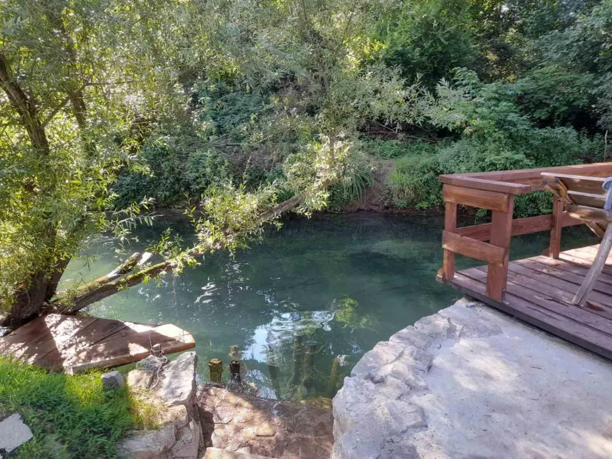 Pure Nature