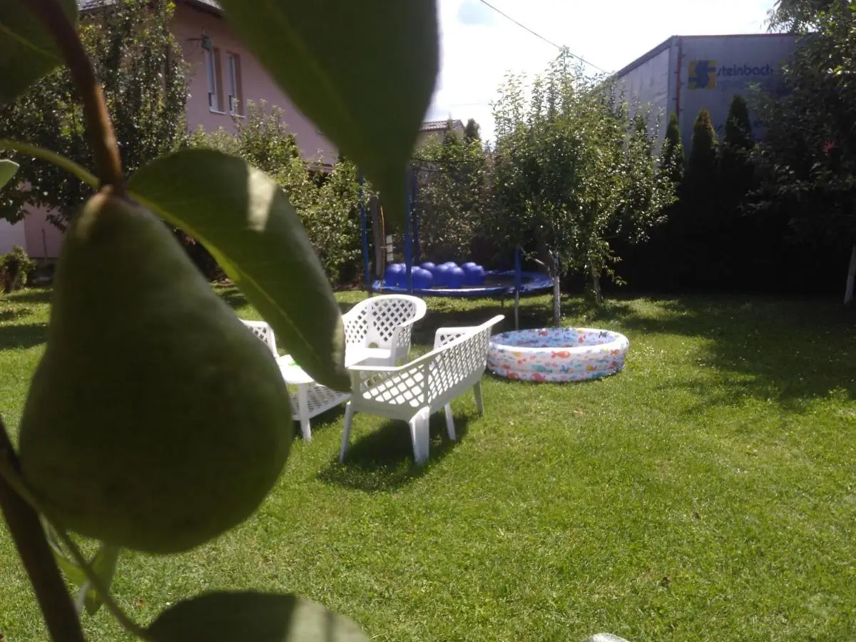 Elite Apartment Jasmina