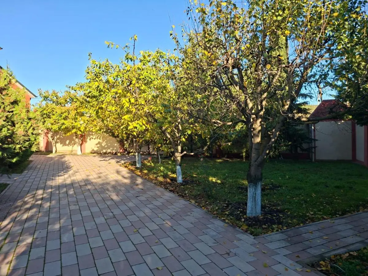 Quba Village Villa