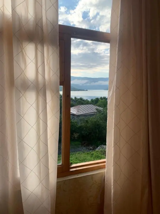 Panorama ananuri guest house