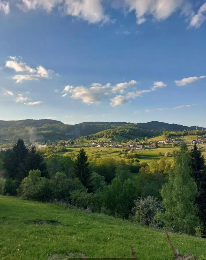 Vlajka