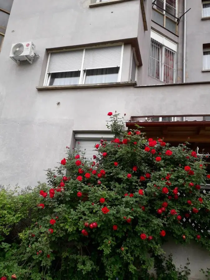 Apartments Lela