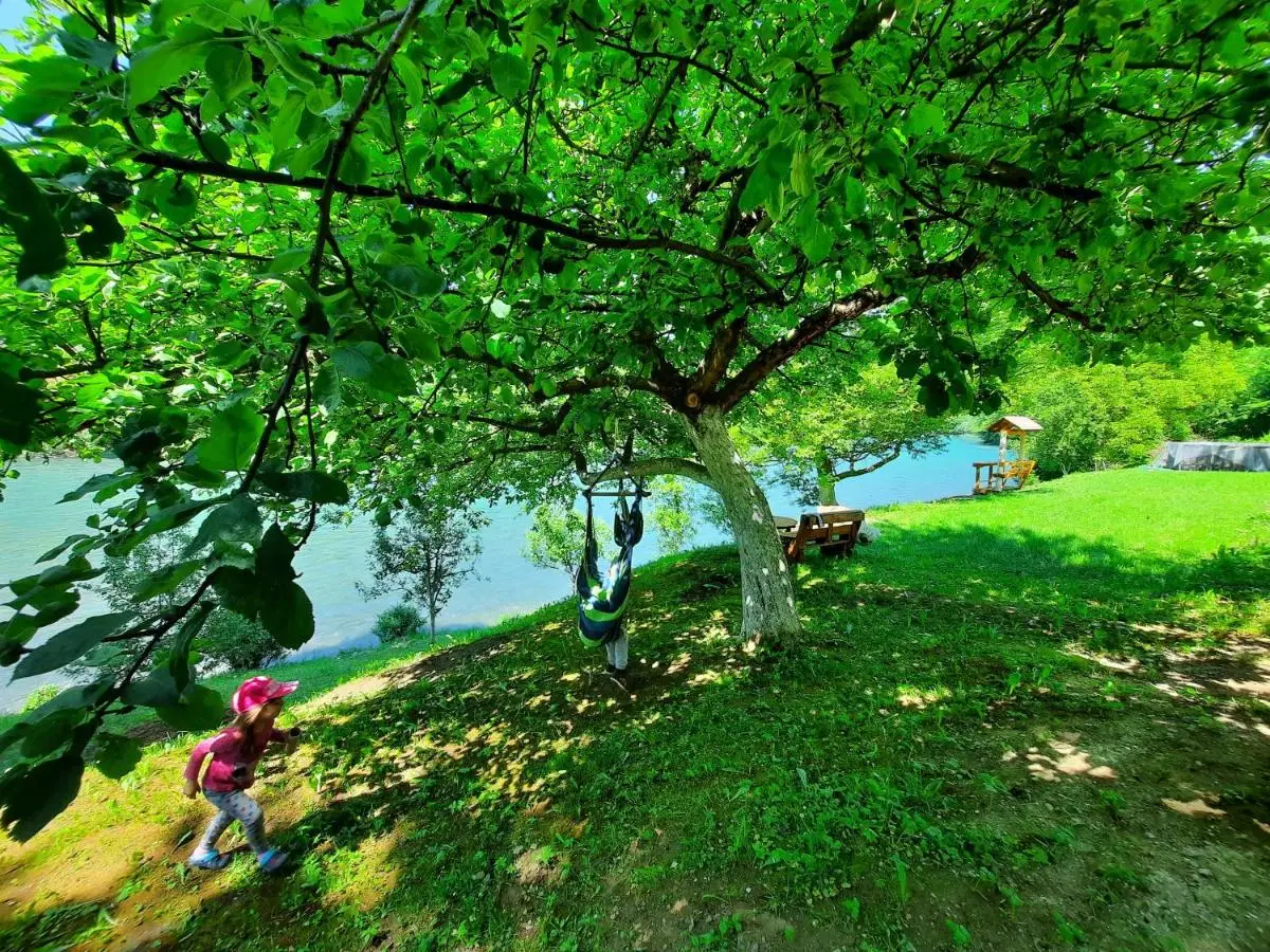 Apartmani Vila na Drini