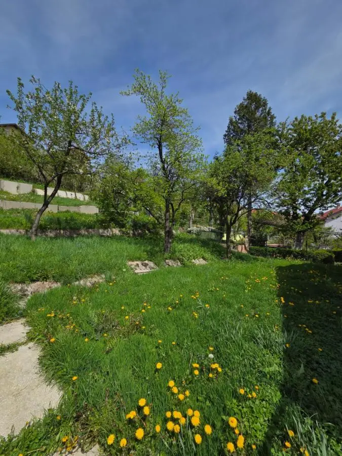 Sarajevo Pulse Residence