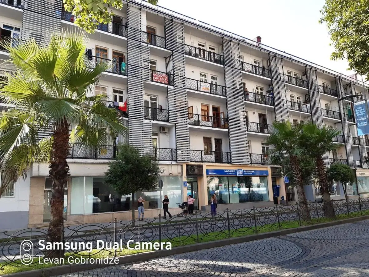 Apartment on Rustaveli 41