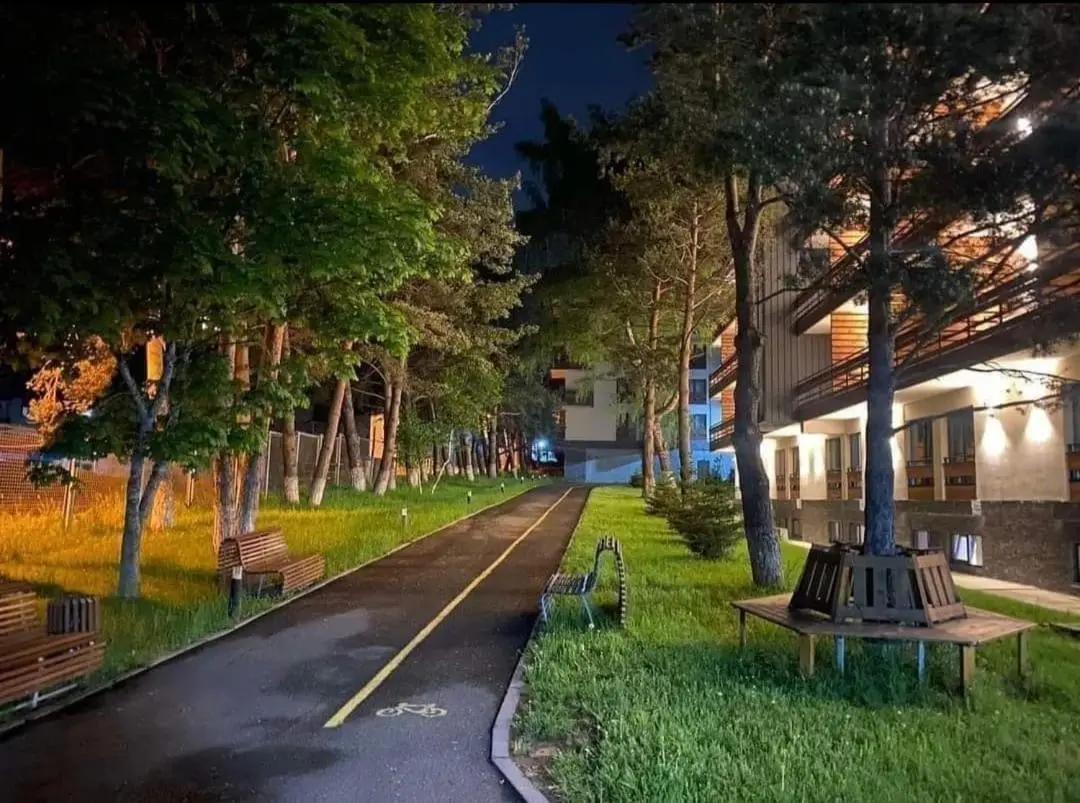 Bakuriani Inn Aparment