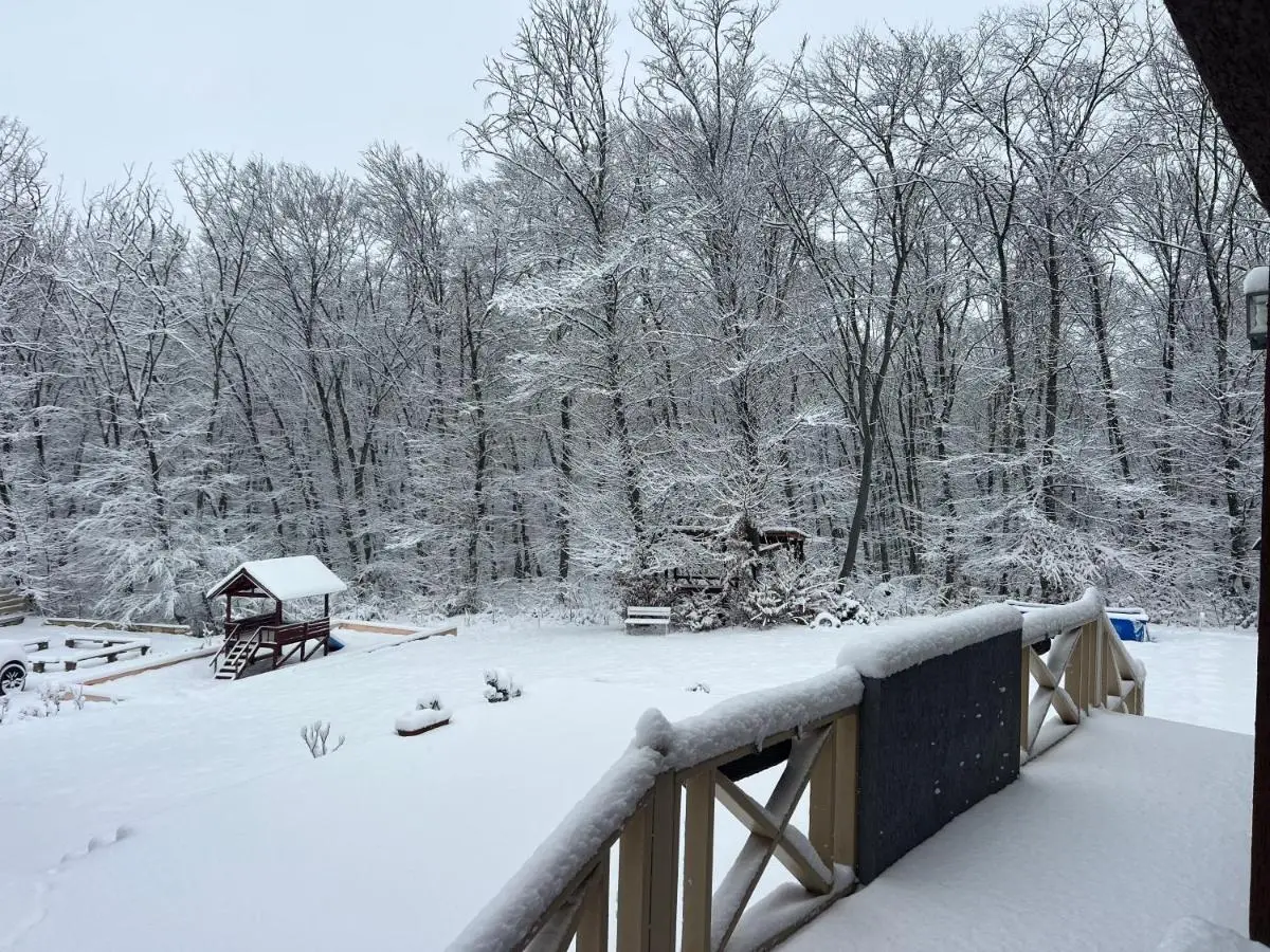 CHALET WOODS GUSAR