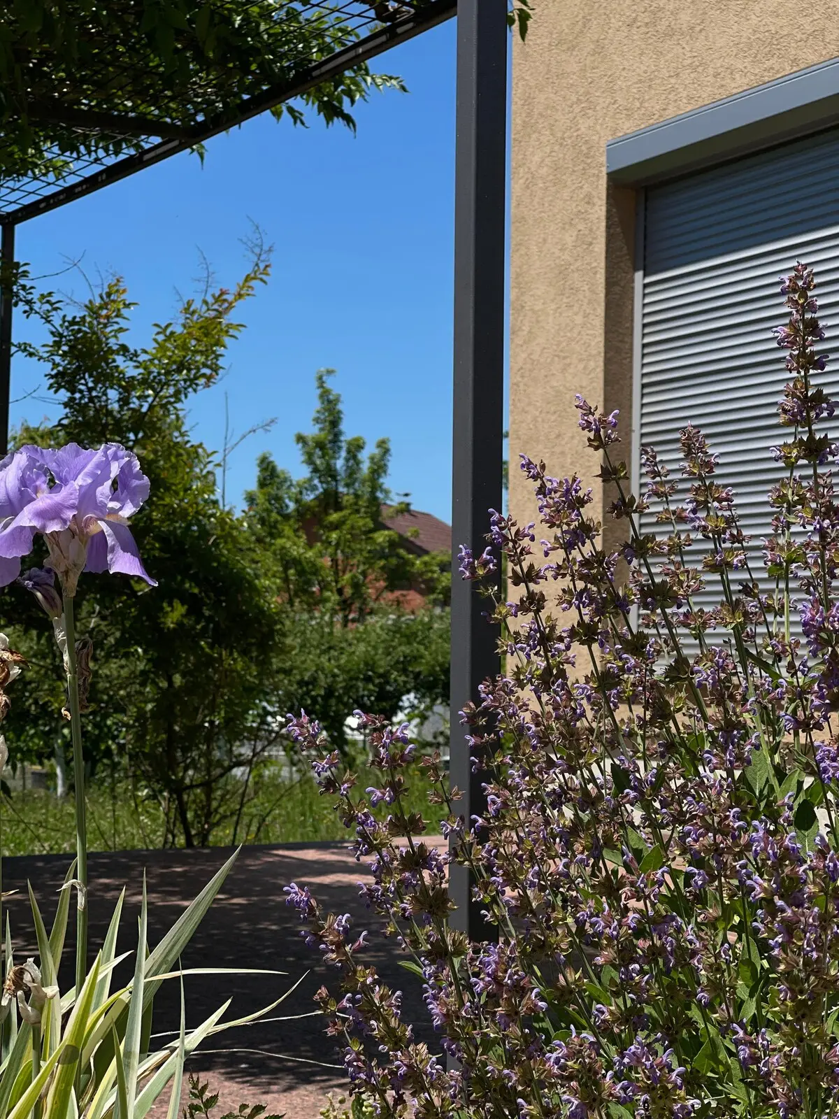 Sarajevo Villa: Garden, Kids’ Pool, Calm Area