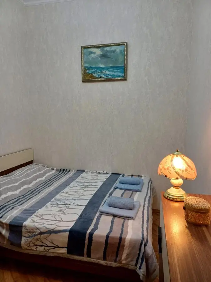 Spacious Apartment in Center, near Nizami st, Fountain Square and Sahil Metro Station