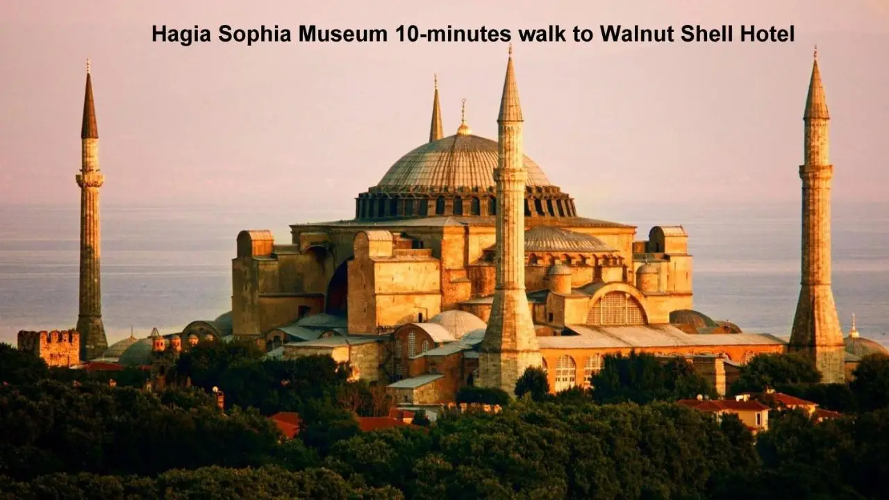 Walnut Shell Hotel