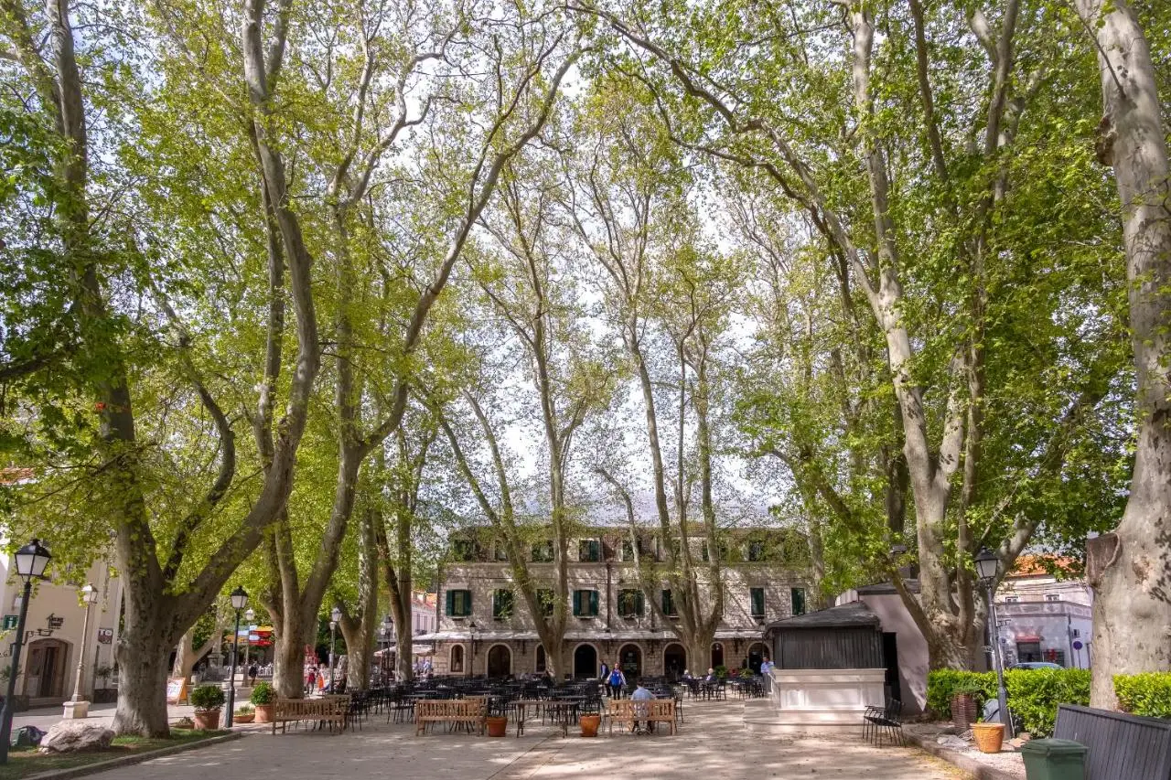 Apartmani Vila Kosa
