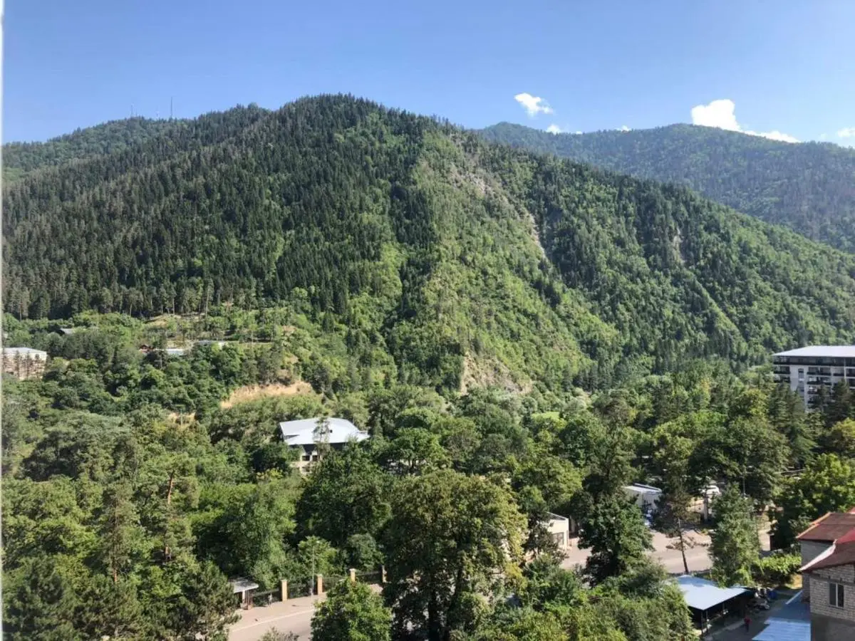 Borjomi-Likani Premium Apartments