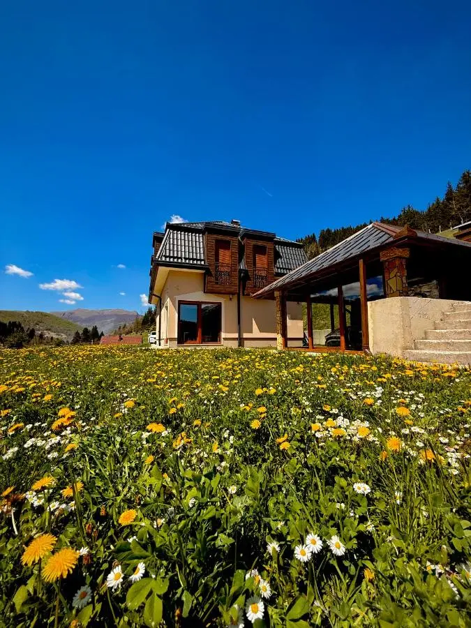 Luxury Villa Kadic