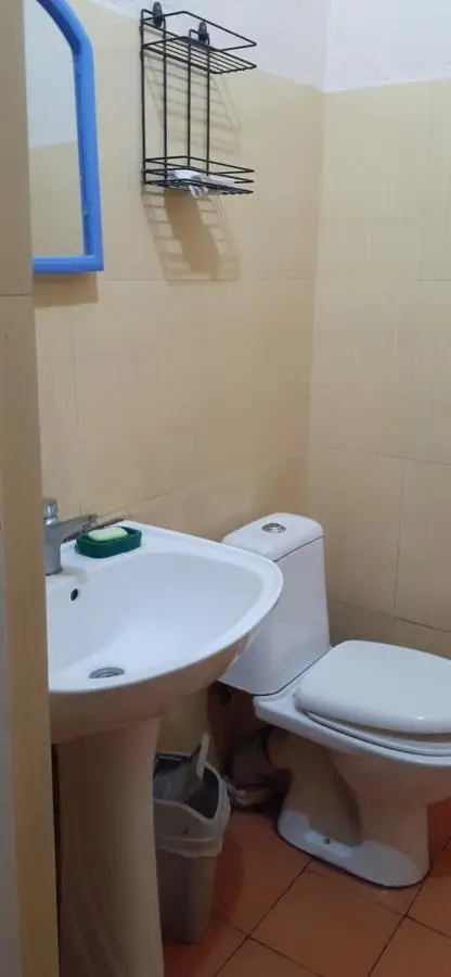 шорена