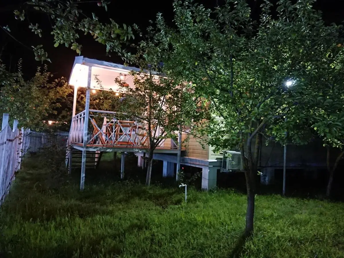 Our Garden