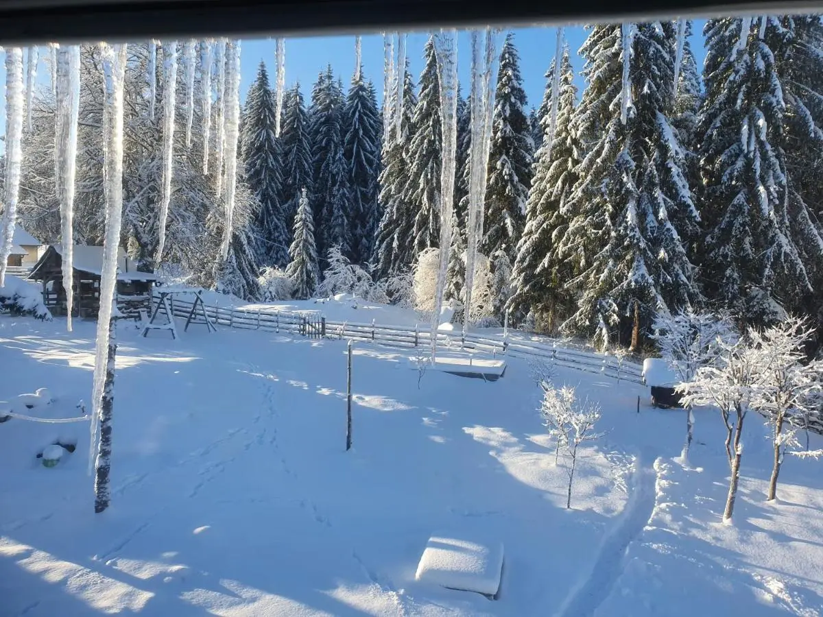 Planinska koliba Ajdanovici Jelovac Nisicka visoravan