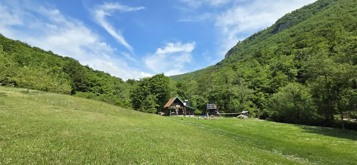 Nina's Cabin