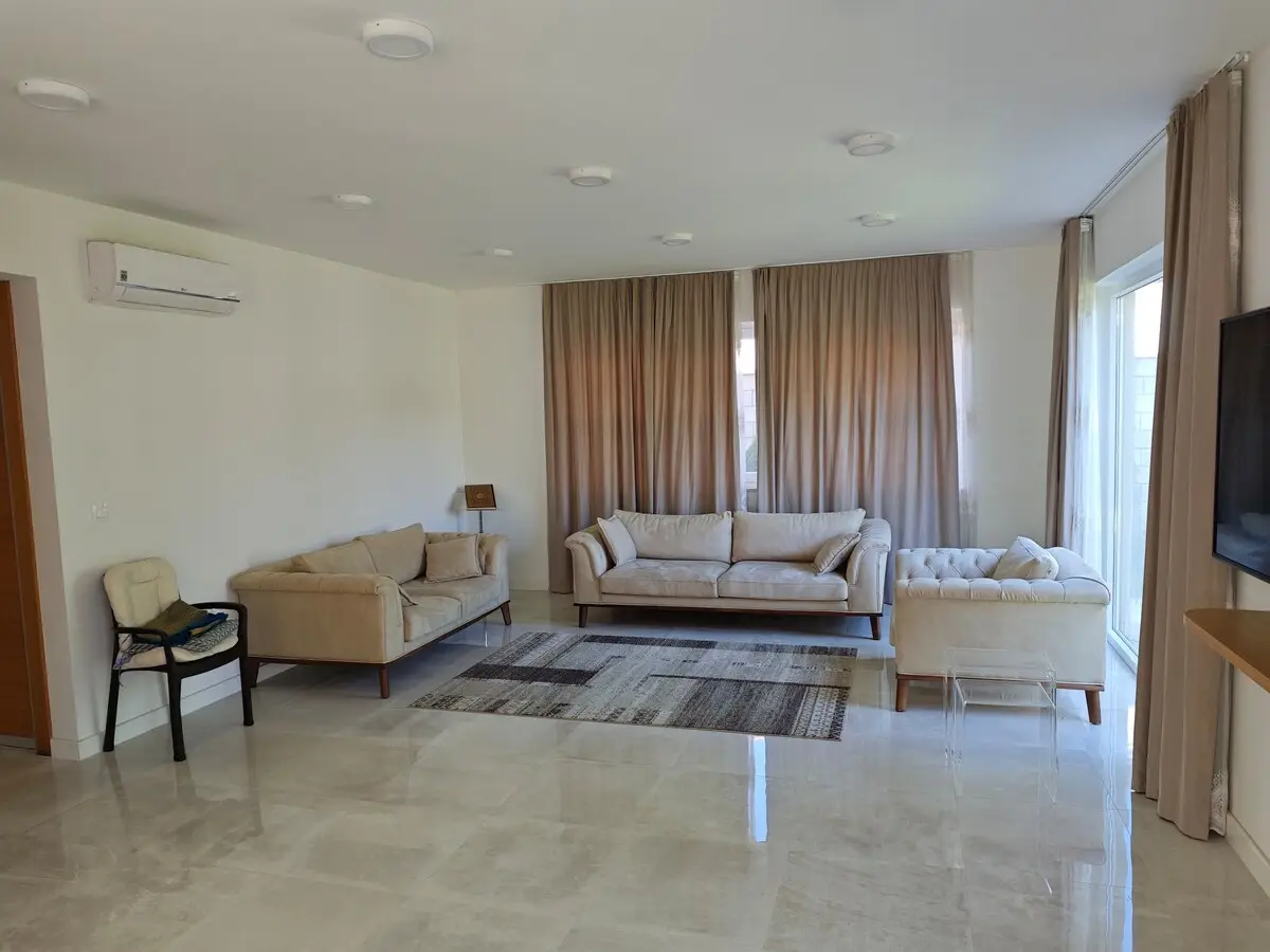 Luxury Villa Plandište 1