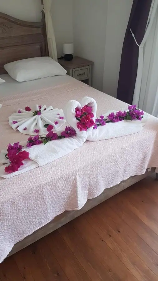 Alice Tatil Evi OTEL
