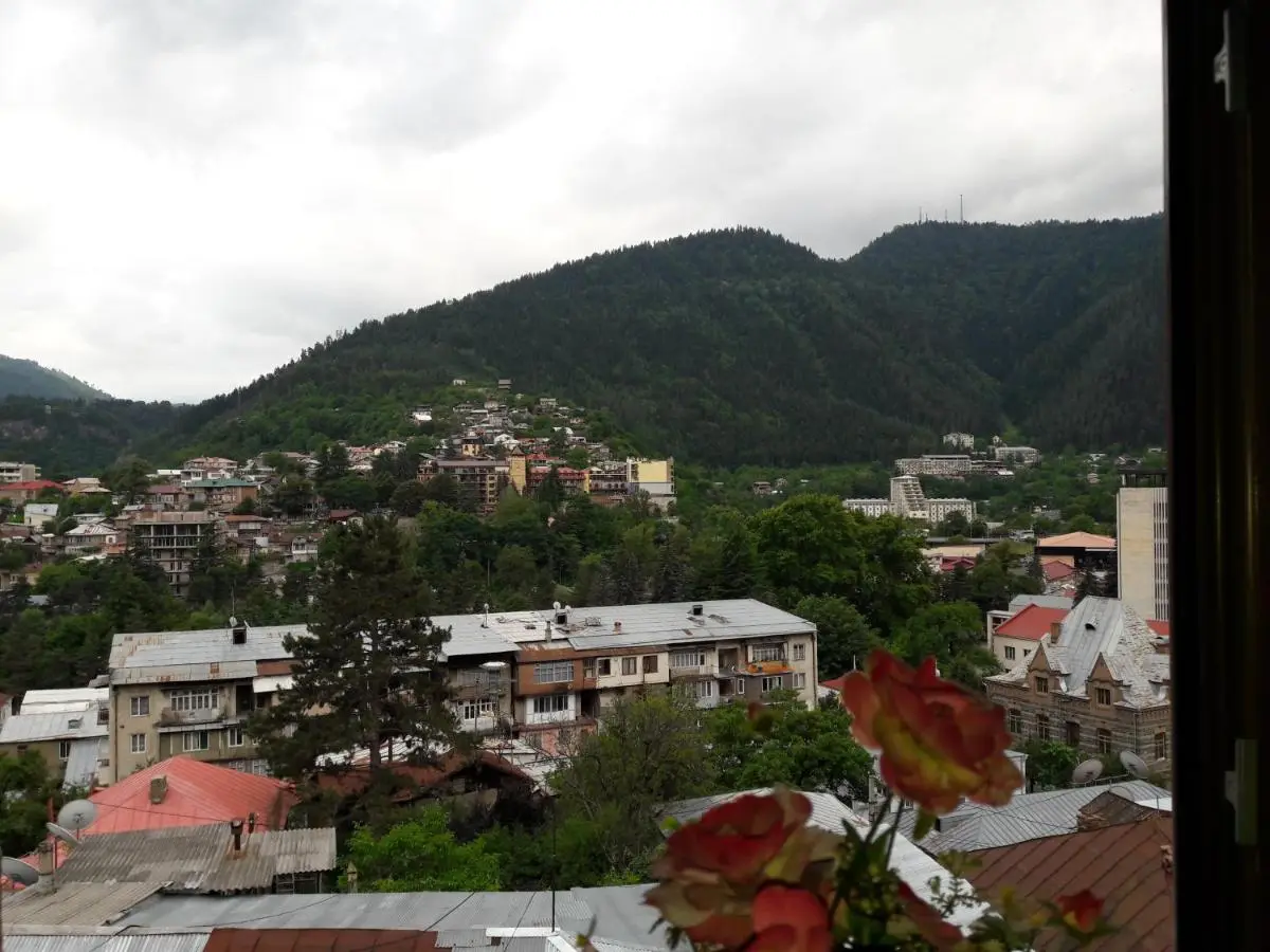Hotel Victoria-Panorama