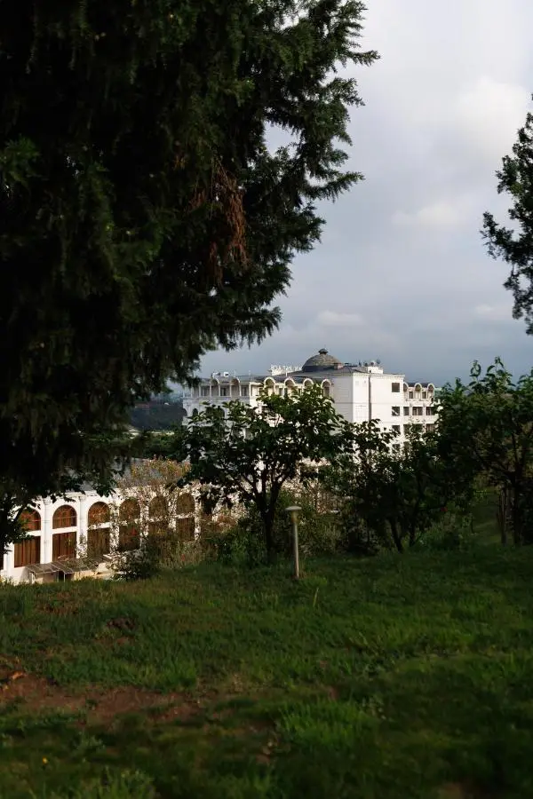 Ayan Palace Hotel