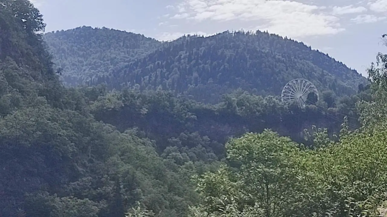 Borjomi Nest