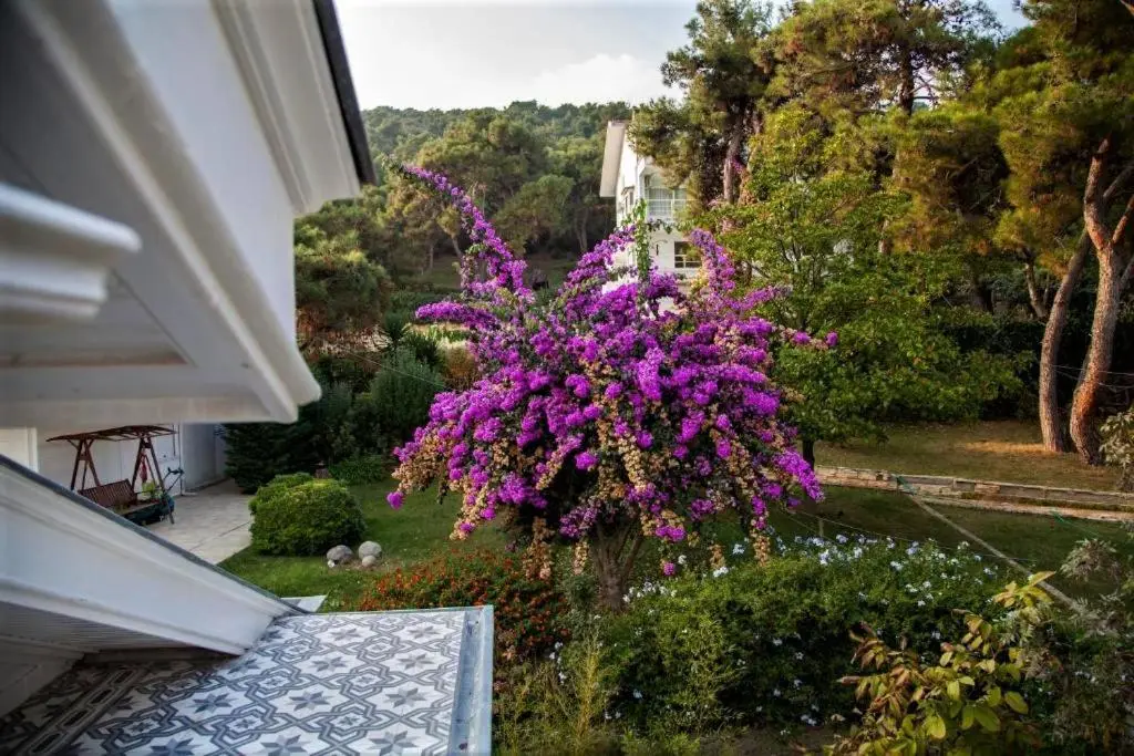Triada Hotel Büyükada