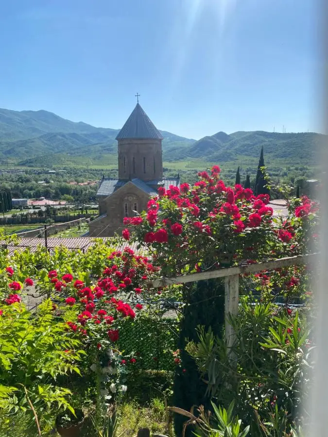 garden and panorama